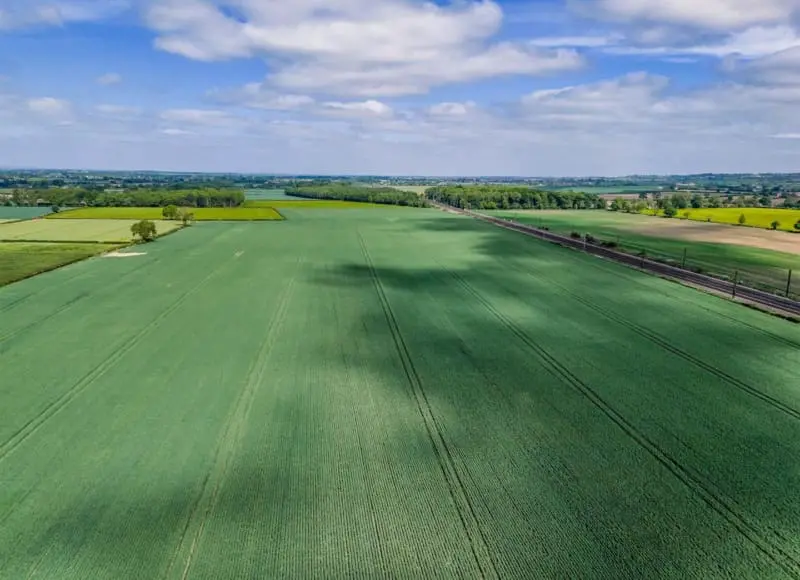 Lot 1 Land at Wellfield  House Farm, Northallerton, North Yorkshire