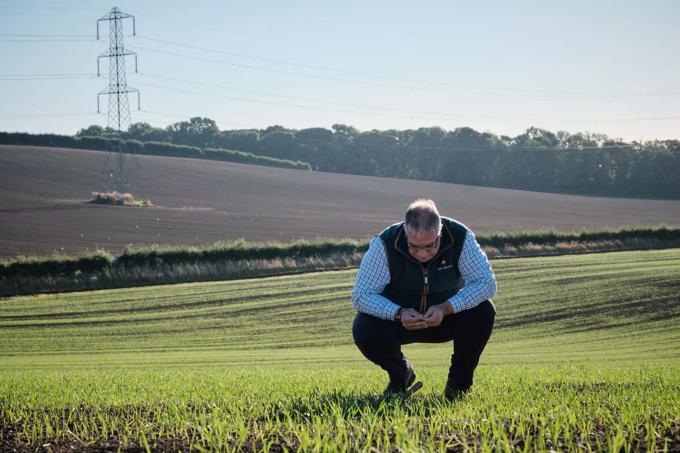 Agronomist reviewing crop progress in arable field