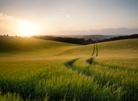 Robust farm budgeting: why intuitive farming is no longer enough