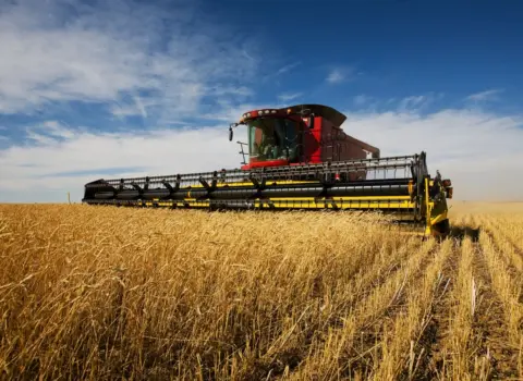 The future of combinable crops: food security implications after consecutive poor harvests