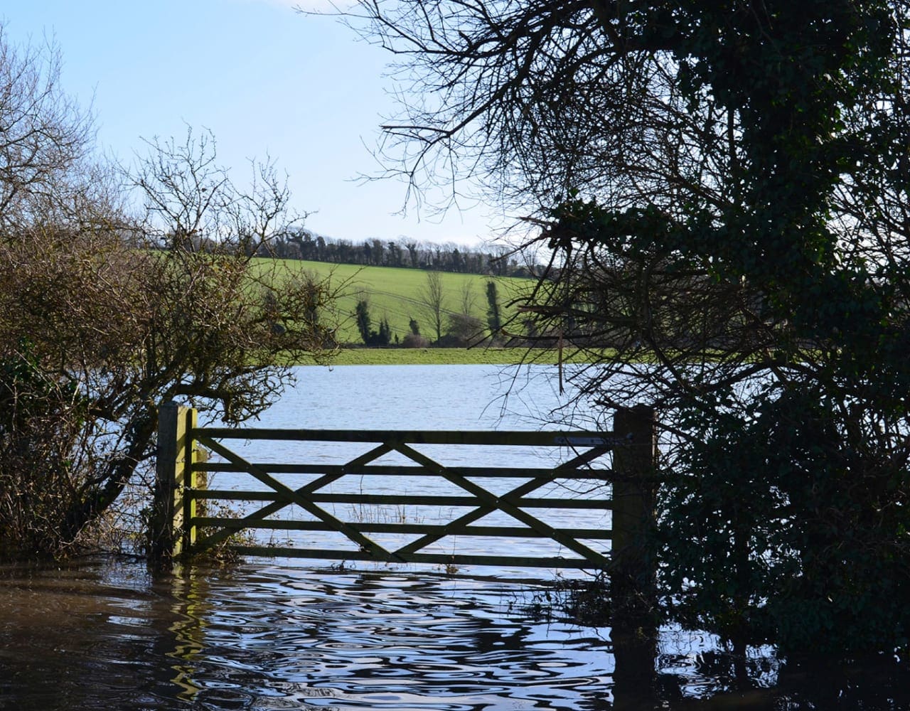 Flooded field with gate