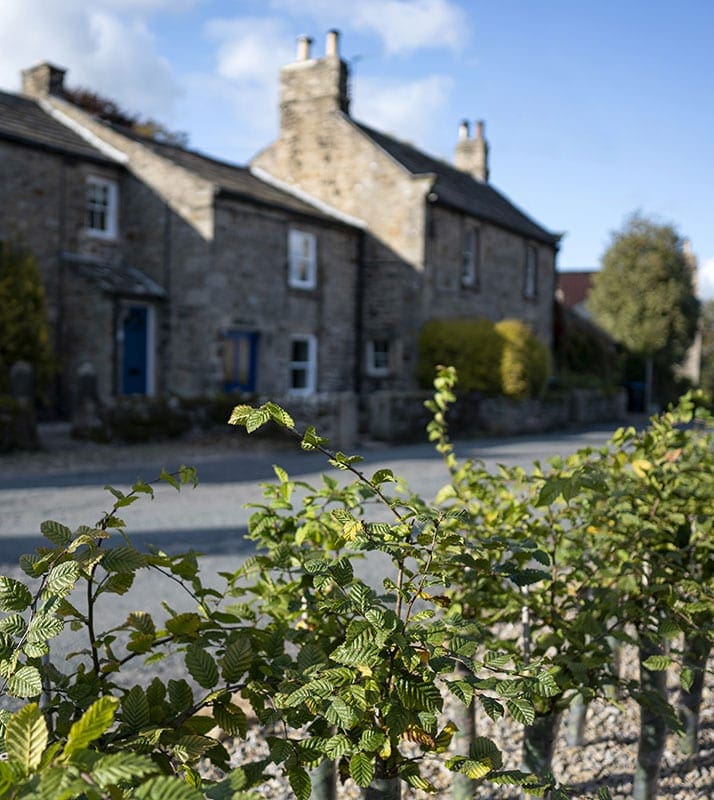 Cottage Barningham