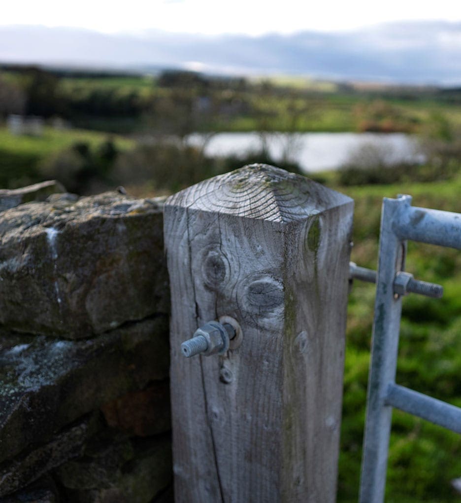 Wall and gatepost