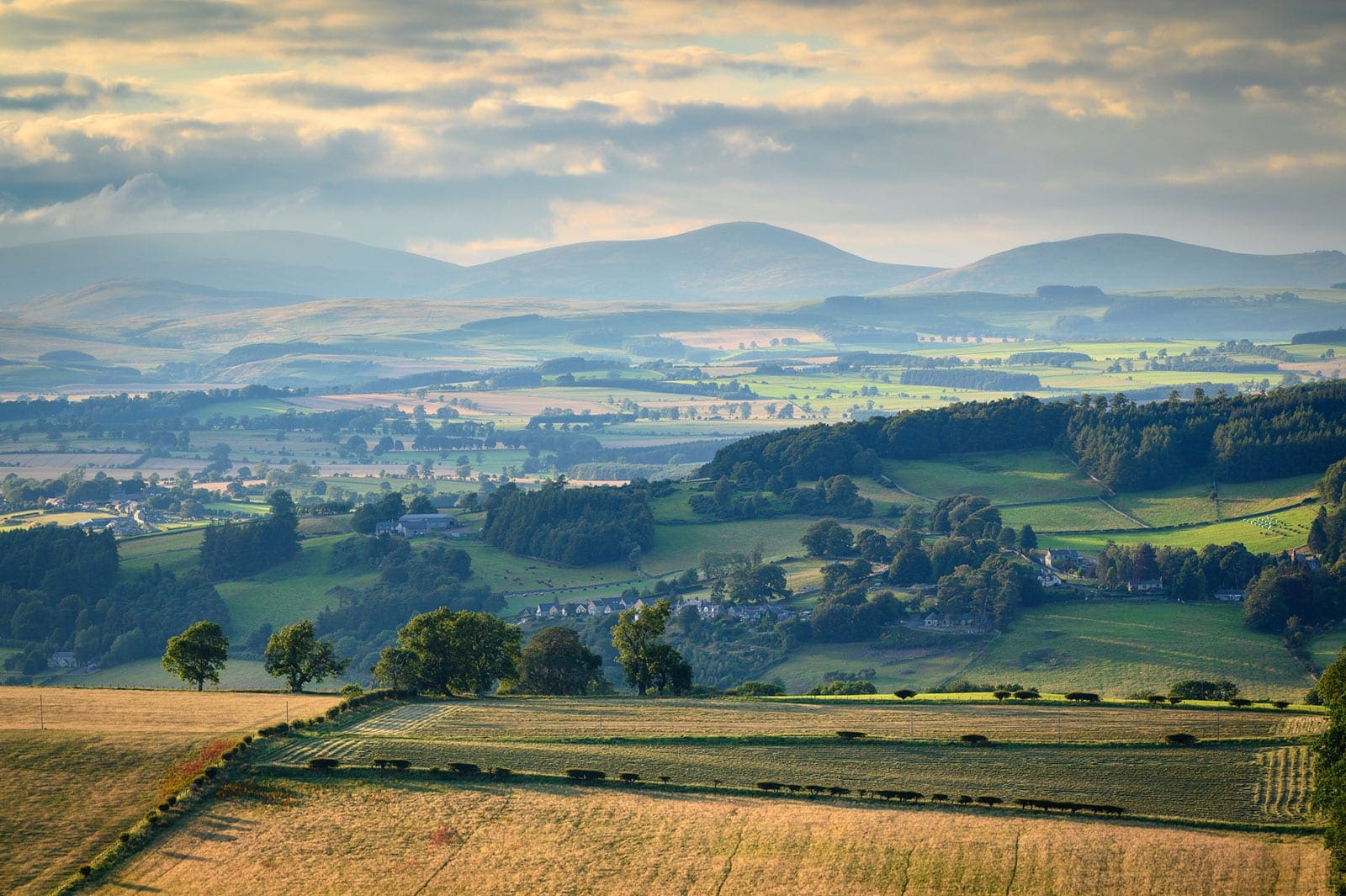 Shaping hte landscape Northumberland