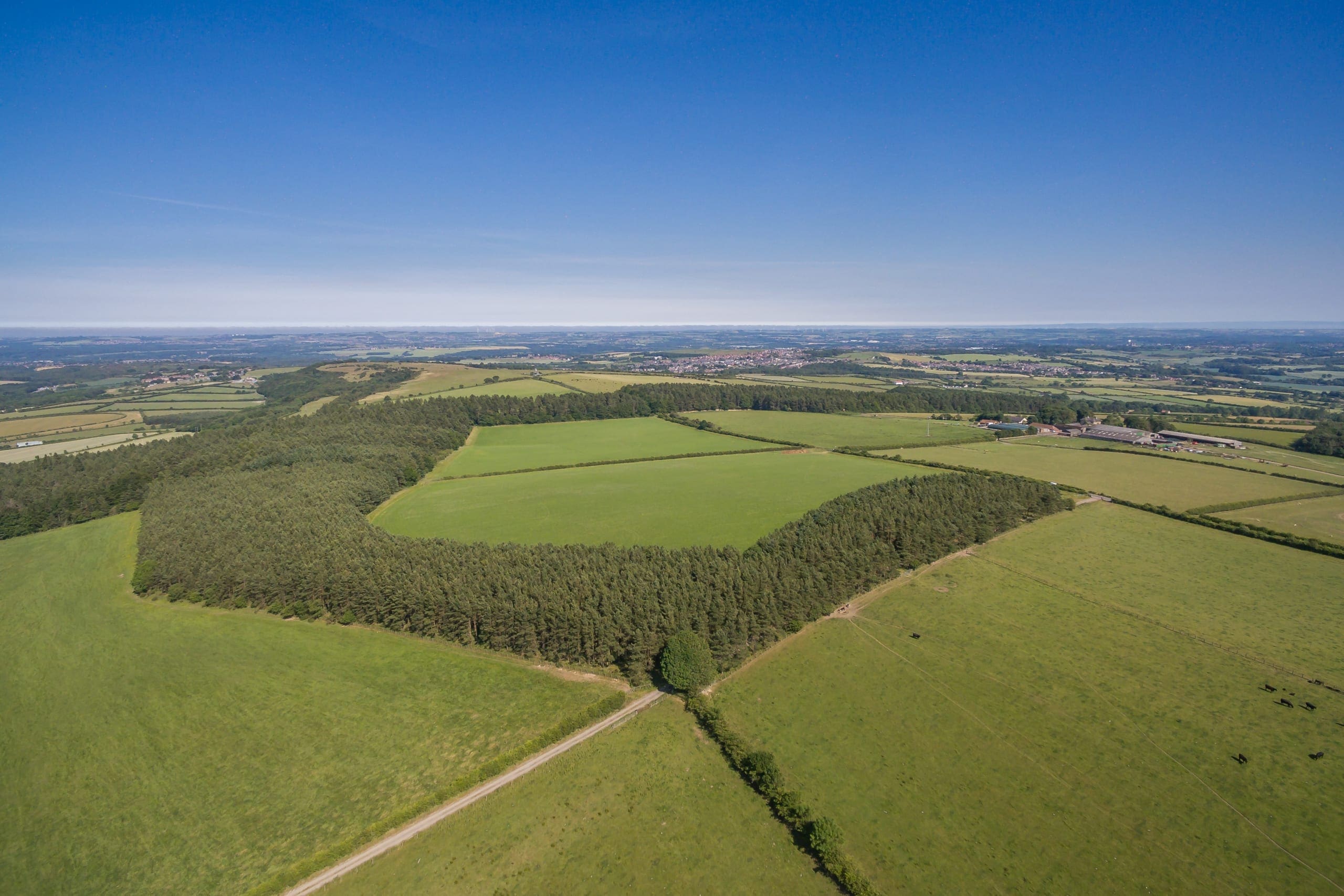 Uncovering the wonder of a woodland investment GSC Grays Rural Land