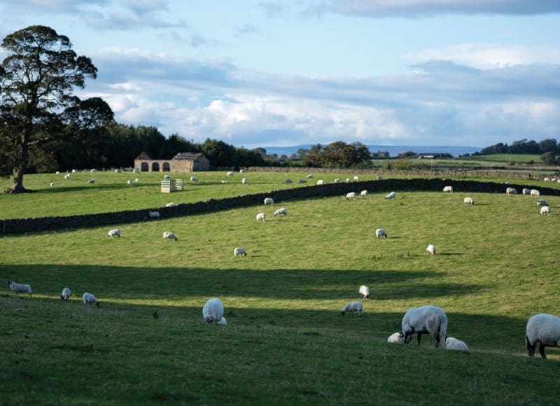 Pioneering a natural capital approach to land management