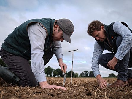 Farm Consultants testing to soil