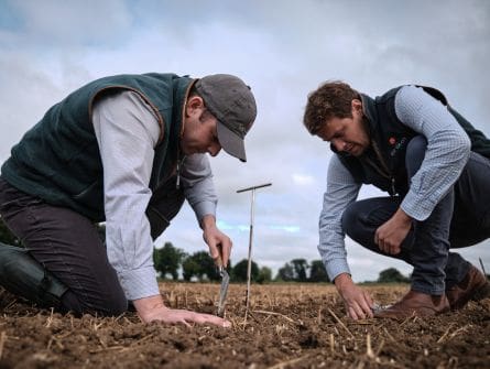 Regenerative Agriculture