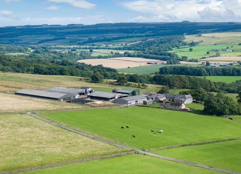 Tyne Valley, Northumberland