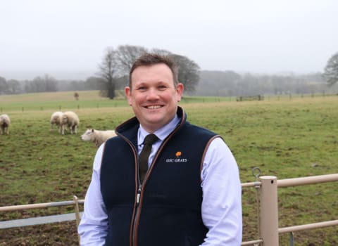 A record summer’s financial wake up call