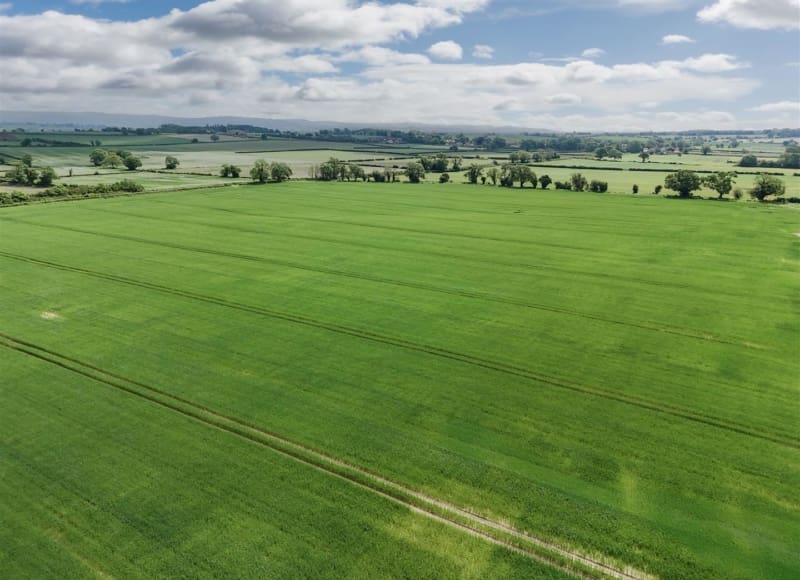 Thornton-Le-Beans, Northallerton