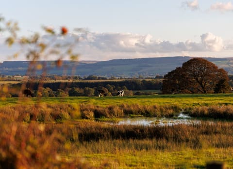 Government wants your views on future land use