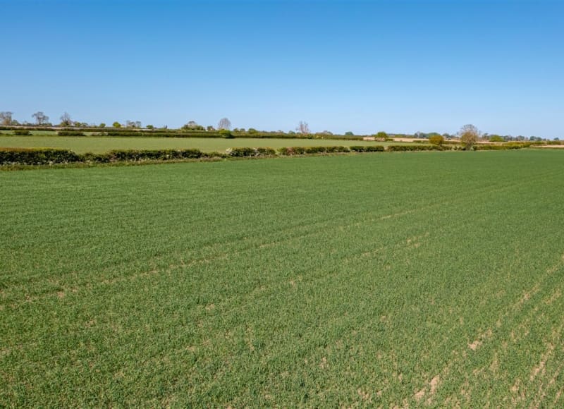 Lot 2 – Land at Cropton Lane