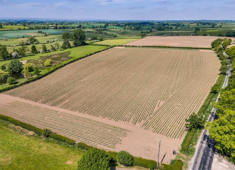 Lot 3 Land at Wellfield House Farm, Northallerton, North Yorkshire