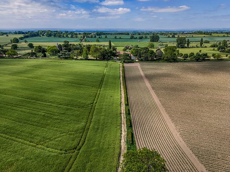 Wellfield House Farm land_