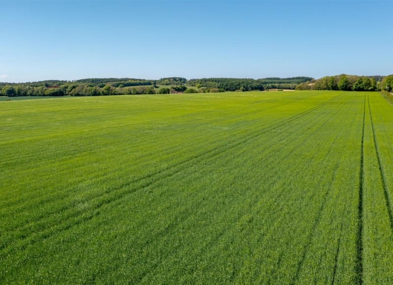 Arable Land Around Pickering