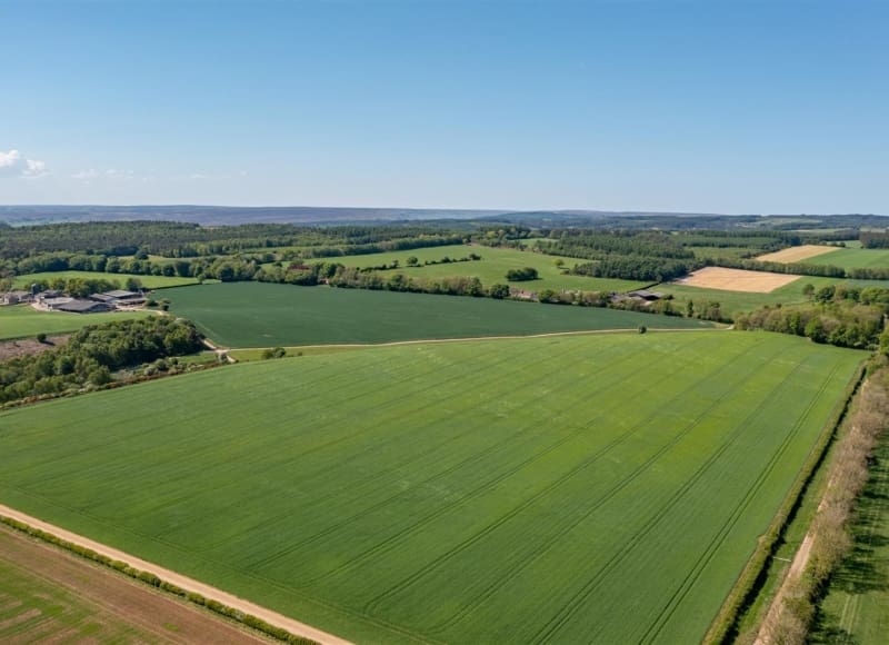 Lot 1 – Land at Newton-upon-Rawcliffe