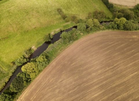 Farmland Market in the North of England – 2025 Outlook