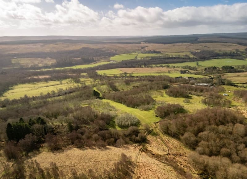 Land Donkleywood, Falstone, Northumberland